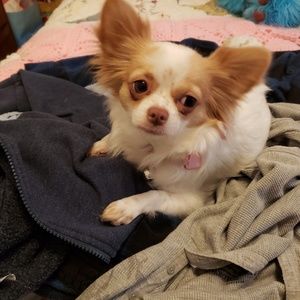 Meet your Posher, Maria